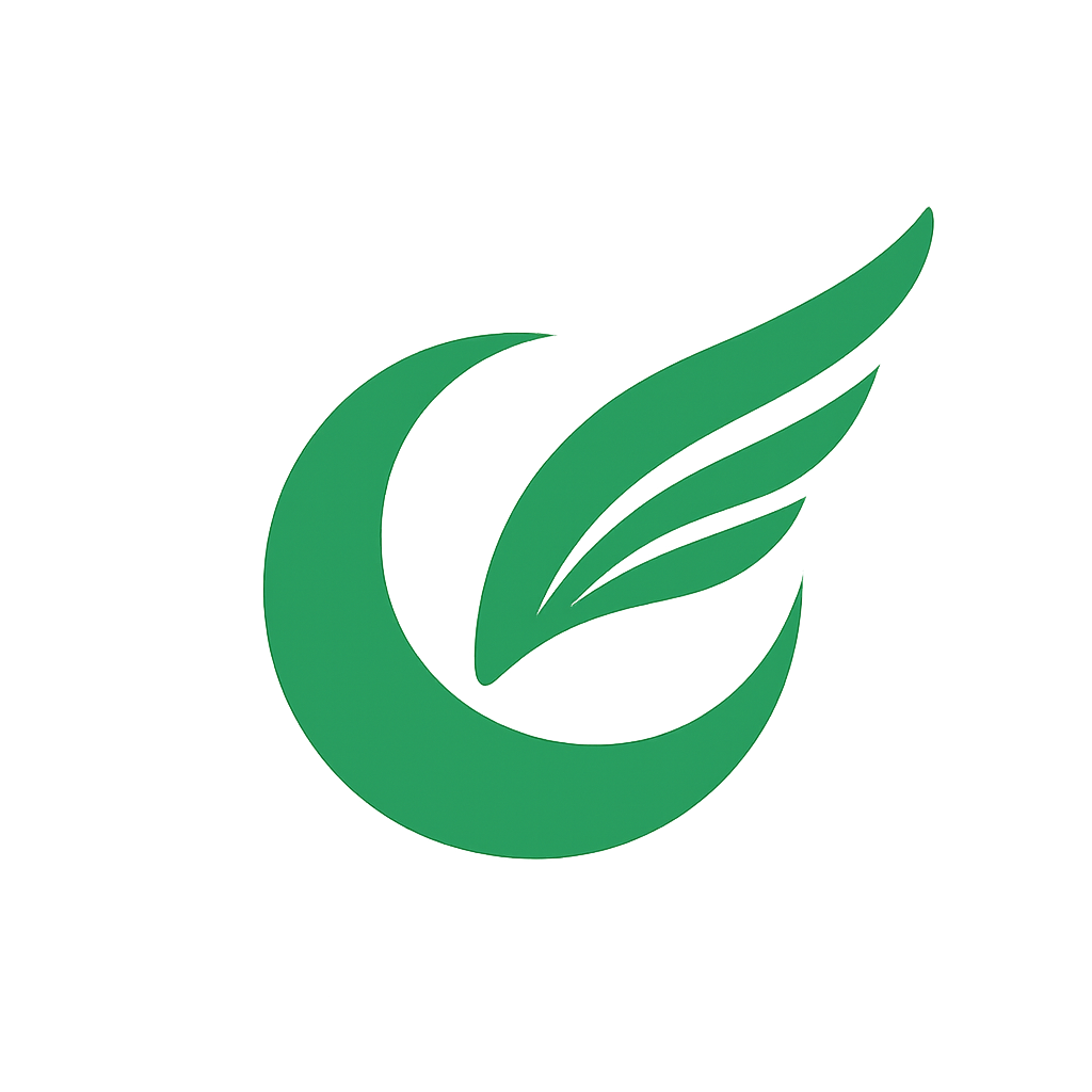 AeroAurora Consulting logo
